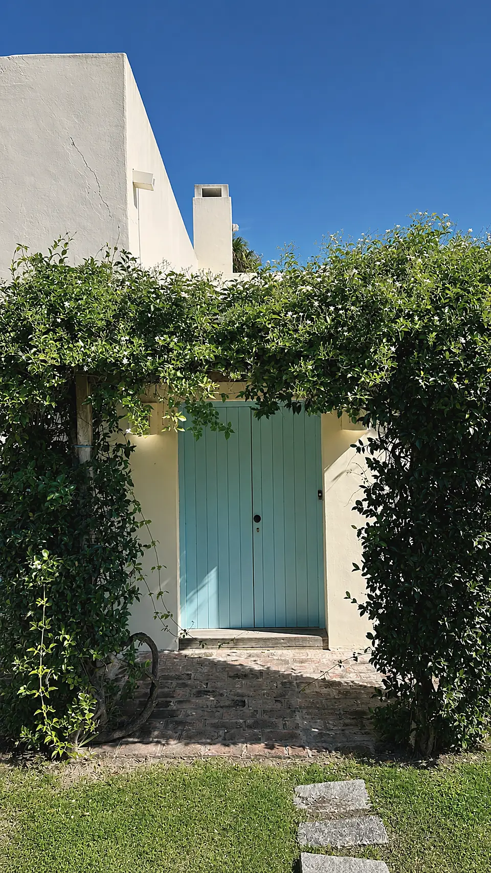 Pérgola cubierta de enredadera sobre una puerta celeste